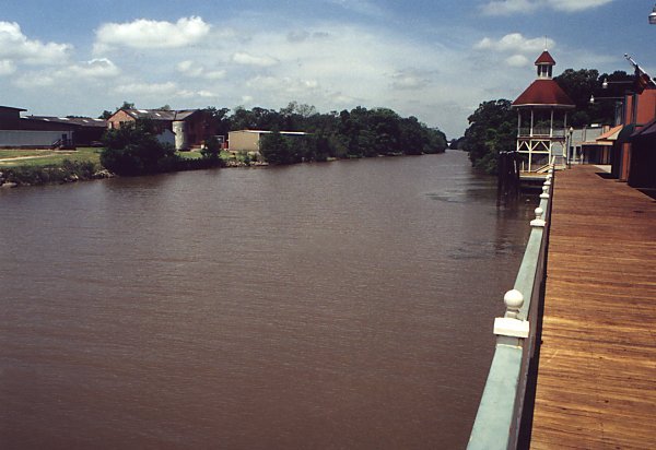 After listening to songs about the bayou all my life, I finaly get to see one. Is it the ultimate bayou? Dont know. But I walked on the boardwalk, by the bayou Teche.